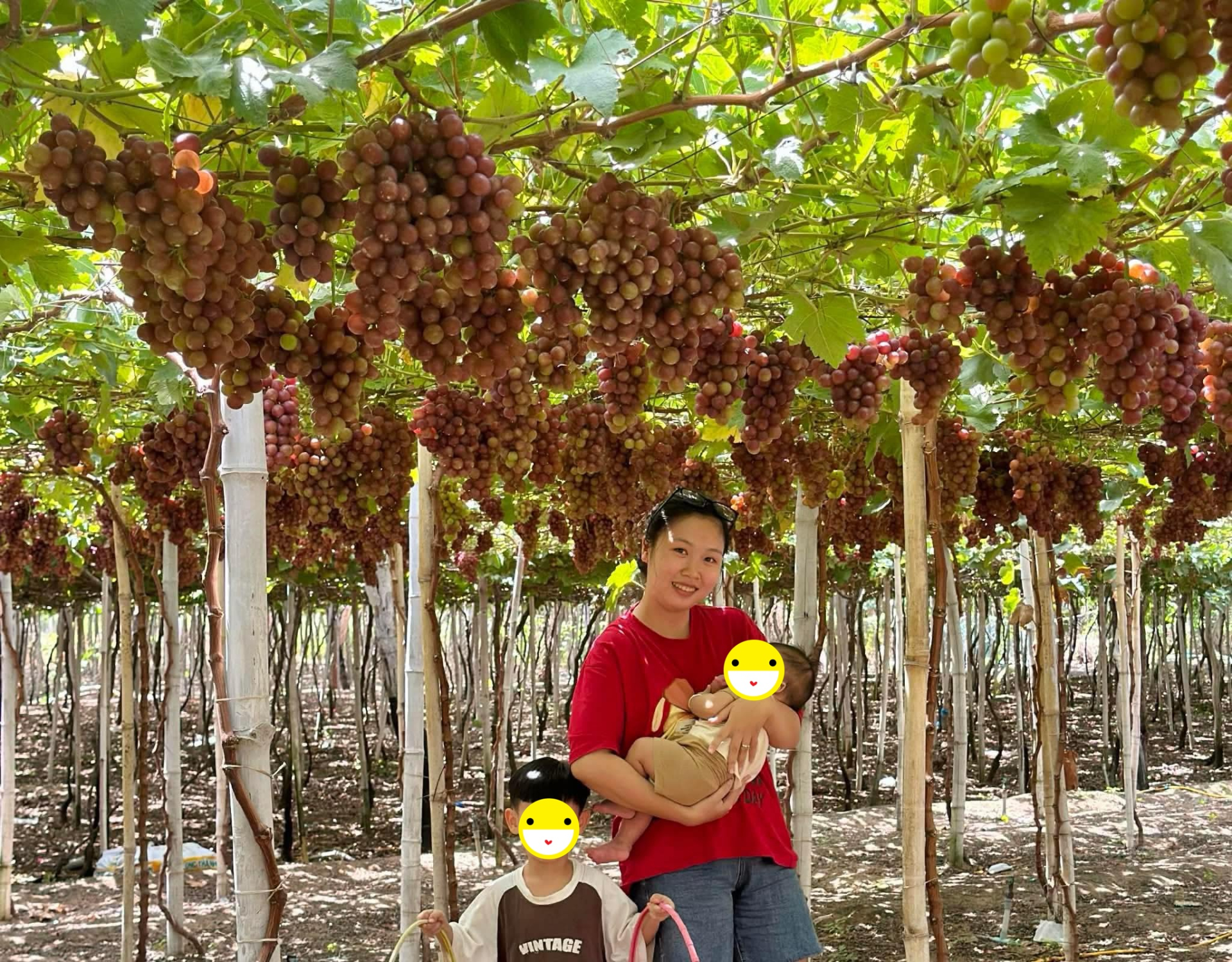 Danh tính người giúp việc lì xì tiền triệu cho chủ nhà ở TP.HCM: Có 2 con đều sống ở nước ngoài, đi làm để đỡ buồn chán- Ảnh 3.