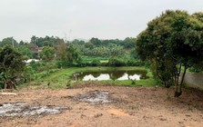 Bộ NN&MT phản hồi về việc xin “lên thổ cư” 500m2 đất vườn mua giấy tờ xã từ năm 1995