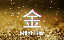 Nhà đầu tư mệnh Kim kỳ vọng gặp nhiều hỗ trợ trong năm Bính Ngọ, 