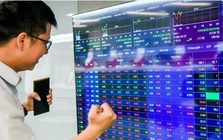 Cổ phiếu nhóm dầu khí tăng kịch trần