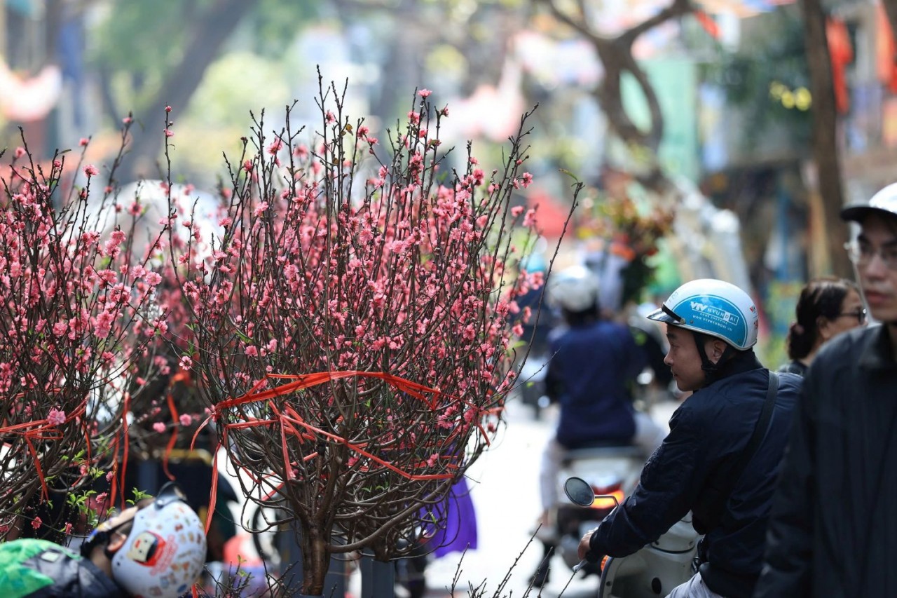 Giá cả thị trường hàng hóa vận hành an toàn, cân đối
