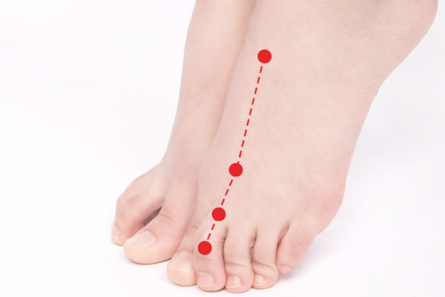 Bác sĩ bật mí 4 huyệt giải quyết chứng khó tiêu, 6 vị thảo dược hỗ trợ giảm cân, tăng nhu động ruột - Ảnh 4.