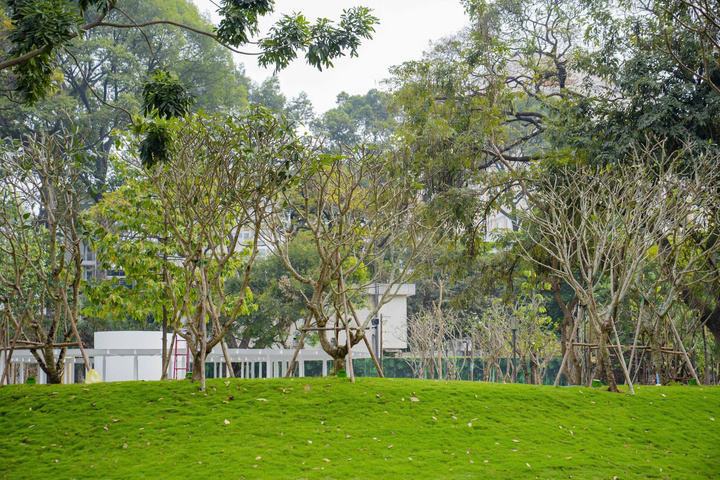 Cách TP.HCM 'đánh thức' những khu đất vàng bị 'quây tôn' giữa lòng đô thị- Ảnh 9.