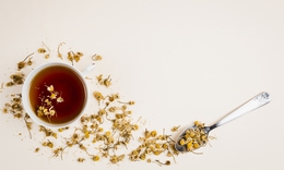 Đào thải axit uric đúng cách bằng trà hoa cúc