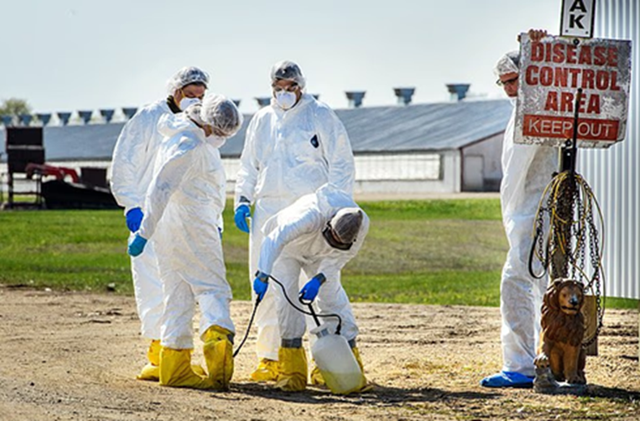 Sau Nipha, các chuyên gia lo ngại 2 loại virus đột biến mới có 'tiềm năng gây đại dịch', lây từ động vật sang người - Ảnh 3.