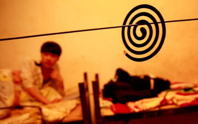 Vợ chồng nhập viện trong đêm vì ngộ độc, bác sĩ cảnh báo: Sai lầm nhiều gia đình đang mắc khi đuổi muỗi - Ảnh 1.