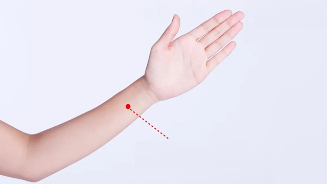 Bác sĩ bật mí 4 huyệt giải quyết chứng khó tiêu, 6 vị thảo dược hỗ trợ giảm cân, tăng nhu động ruột - Ảnh 1.