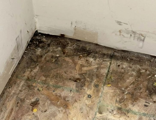 Bỏ 10 tỷ mua nhà, dọn vào ở được vài tháng, người phụ nữ mắc phải căn bệnh lạ khiến cơ thể biến dạng - Ảnh 2.