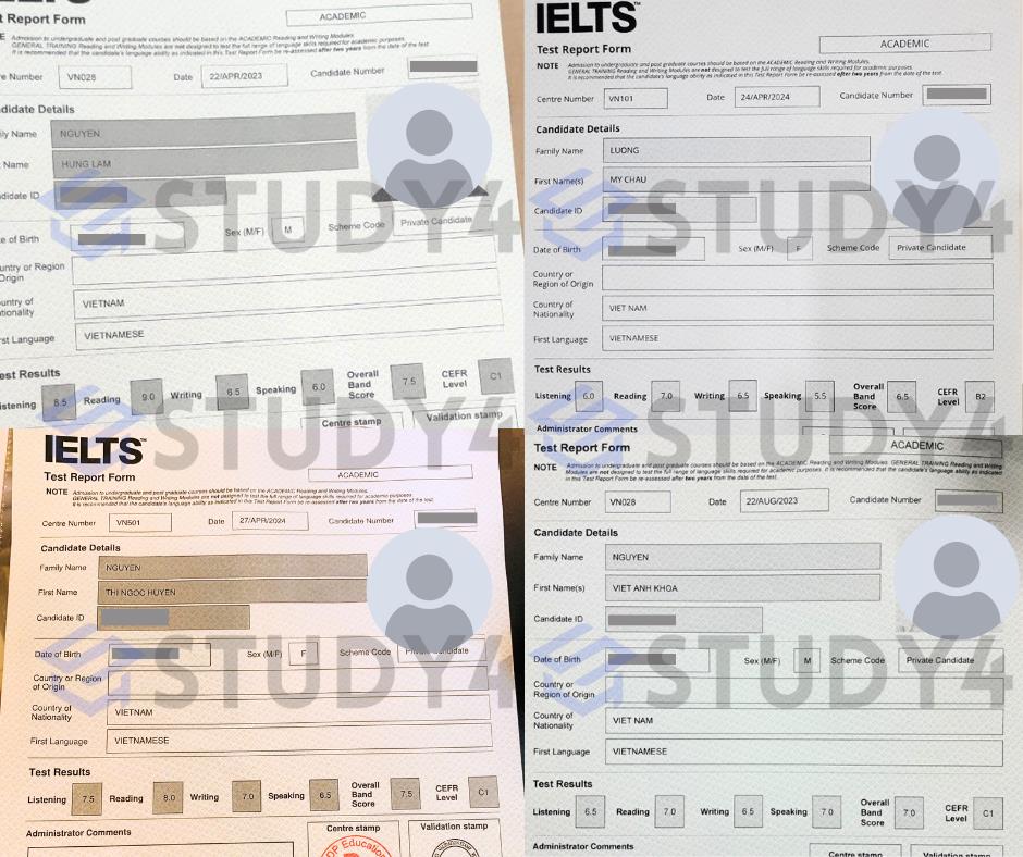 Những yếu tố giúp STUDY4 thu hút cộng đồng luyện thi chứng chỉ ngoại ngữ- Ảnh 4.