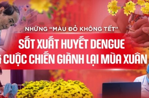 Những “màu đỏ không Tết” do Sốt xuất huyết Dengue và cuộc chiến giành lại mùa xuân