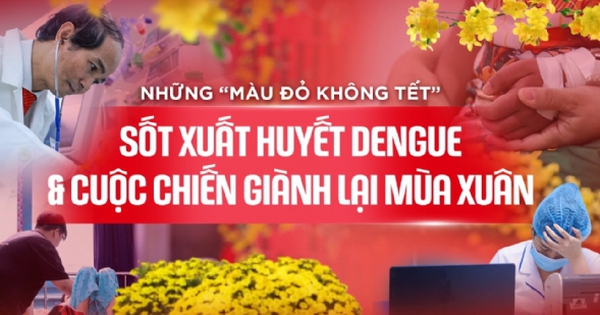 Những “màu đỏ không Tết” do Sốt xuất huyết Dengue và cuộc chiến giành lại mùa xuân