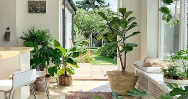 3 dấu hiệu chứng tỏ ngôi nhà của bạn đang có phúc khí, càng ở càng có lộc, đừng dại bán đi