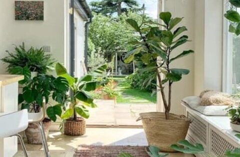 3 dấu hiệu chứng tỏ ngôi nhà của bạn đang có phúc khí, càng ở càng có lộc, đừng dại bán đi