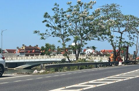 Ông Lững rời đi, mặt bằng cầu Mỹ An được giải phóng để thi công