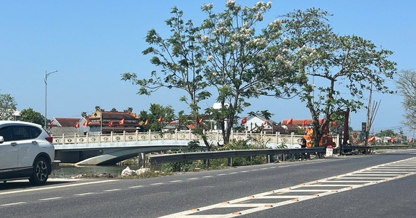 Ông Lững rời đi, mặt bằng cầu Mỹ An được giải phóng để thi công