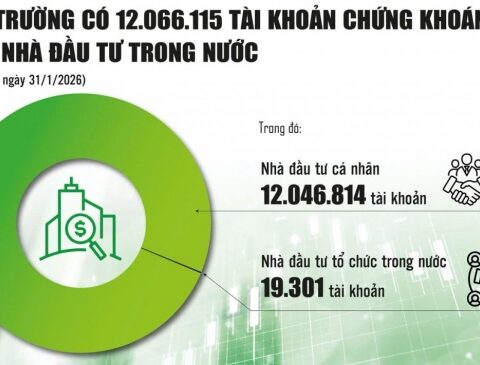 Thị trường chứng khoán: Từ “bùng nổ” tài khoản đến chuyên nghiệp hóa dòng vốn