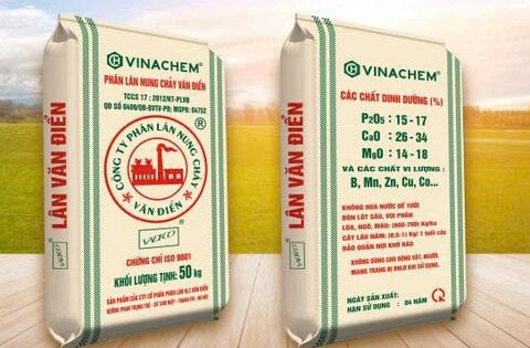 Phân lân Văn Điển bị truy thu gần 2,8 tỷ đồng thuế sau kiểm toán