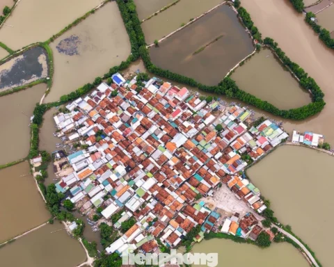 ‘Ốc đảo cô đơn’ hình cánh diều gây sốt ở Khánh Hòa