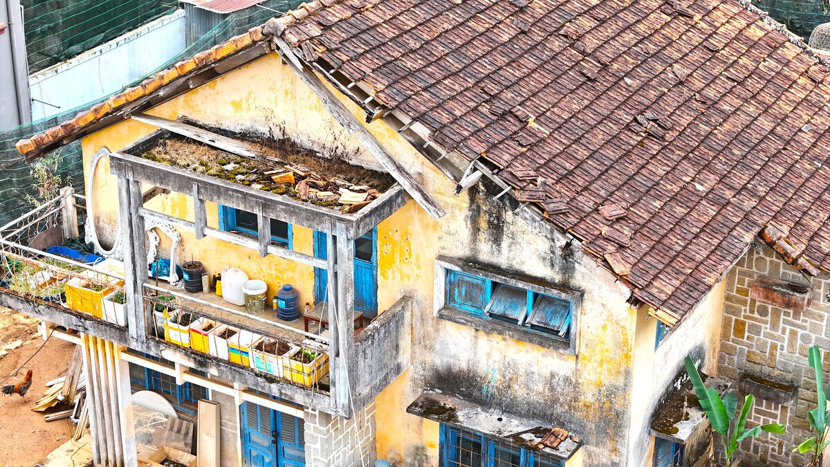 Cận cảnh biệt thự, khu nhà đất ‘vàng’ bỏ hoang, lãng phí ở Ðà Lạt