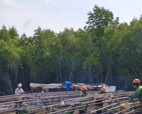 Tiến độ thi công cao tốc về Đất Mũi và cầu vượt biển ra đảo Hòn Khoai