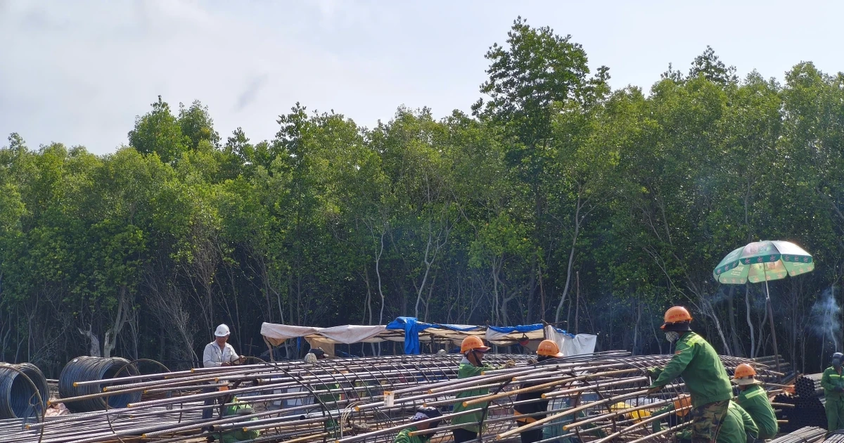 Tiến độ thi công cao tốc về Đất Mũi và cầu vượt biển ra đảo Hòn Khoai