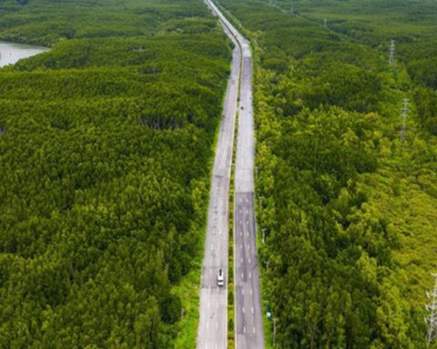 Đề xuất đầu tư tuyến vượt biển Cần Giờ – Vũng Tàu dài 14 km