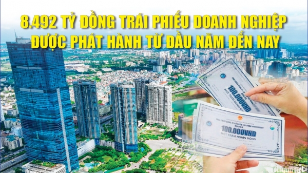 Infographics: 8.492 tỷ đồng trái phiếu doanh nghiệp được phát hành từ đầu năm đến nay