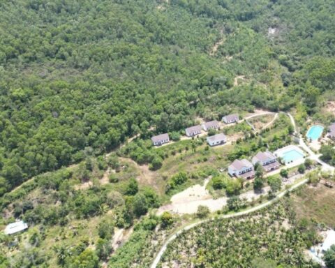 Gia Lai thu hút 62 dự án, tổng vốn đầu tư hơn 101.000 tỷ đồng