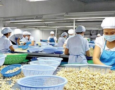 Thị trường Trung Đông chỉ chiếm 2% xuất khẩu, nhưng rủi ro lan rộng tới chuỗi nông sản Việt