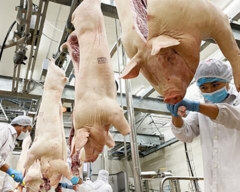 Ngành chăn nuôi trước “sóng gió” Trung Đông: Tăng tốc xuất khẩu, hướng tới mốc 1 tỷ USD