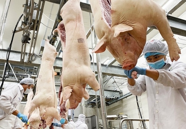 Ngành chăn nuôi trước “sóng gió” Trung Đông: Tăng tốc xuất khẩu, hướng tới mốc 1 tỷ USD