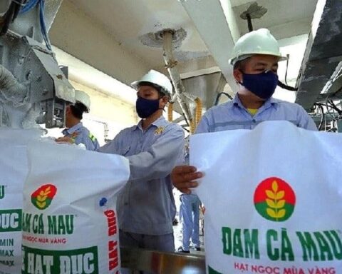 Cổ phiếu phân bón “ngược dòng” thị trường, thu hút mạnh dòng tiền “bắt đáy”