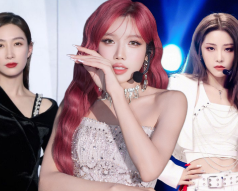 Chông gai của Trang Pháp