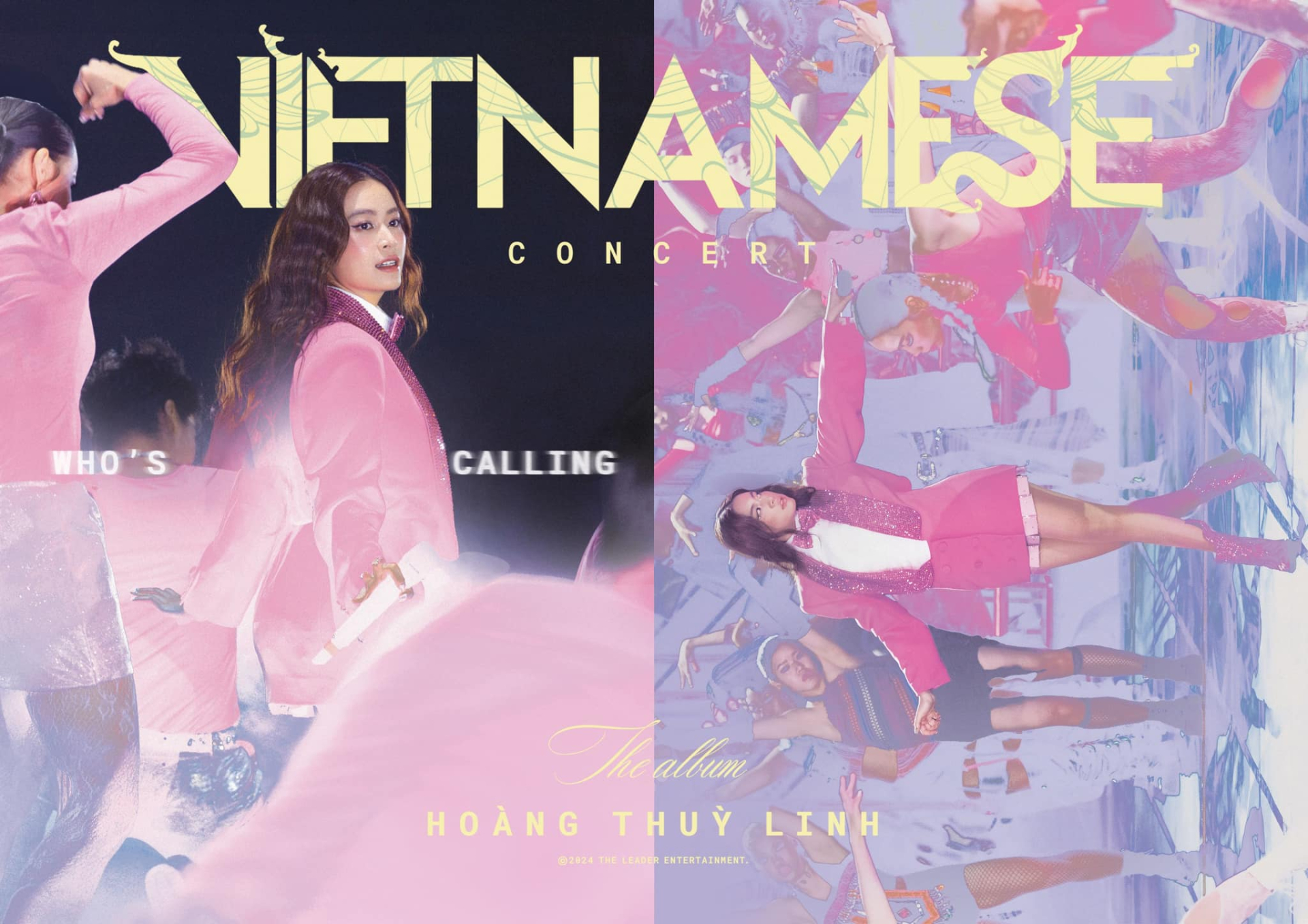 Chưa ai làm được như Hoàng Thùy Linh- Ảnh 12.