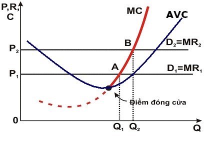 Duong cung cua doanh nghiep canh tranh hoan hao 01