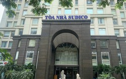 Cổ đông lớn giảm sở hữu tại SJ Group