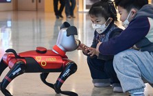 Khi nền kinh tế thích nghi với sự cô đơn