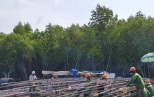 Tiến độ thi công cao tốc về Đất Mũi và cầu vượt biển ra đảo Hòn Khoai