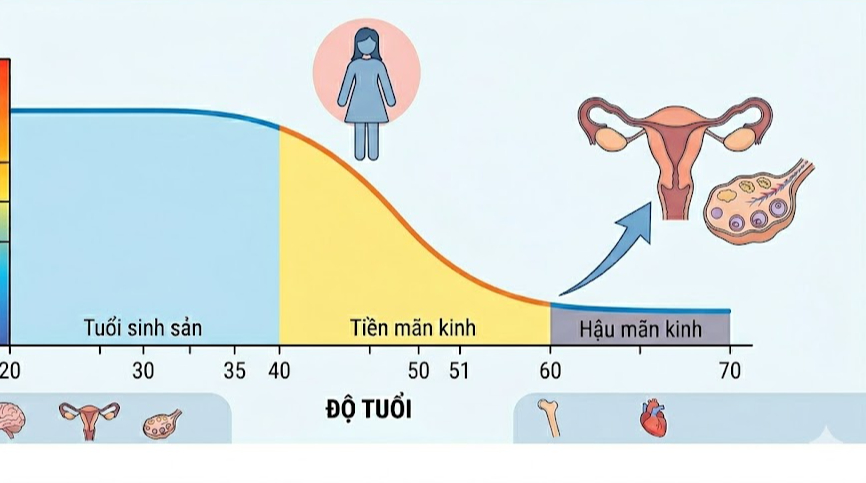 Lý do chị em cần lắng nghe 'bản đồ' nội tiết- Ảnh 2.