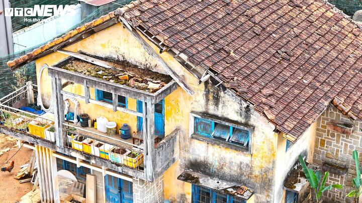 Cận cảnh biệt thự, khu nhà đất 'vàng' bỏ hoang, lãng phí ở Ðà Lạt- Ảnh 5.