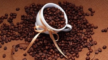 Ngày 12/3: Giá cà phê giảm mạnh, hồ tiêu đi ngang ngày thứ ba liên tiếp