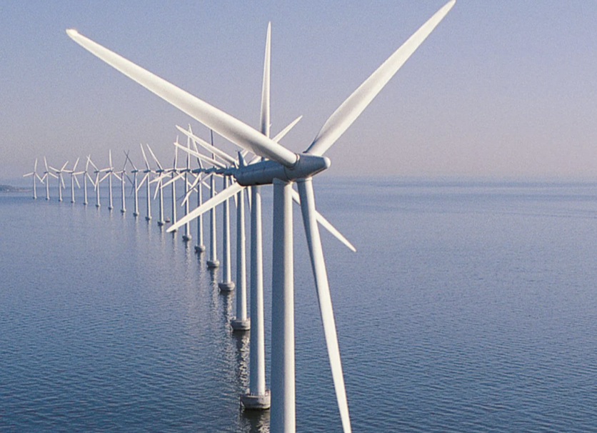 REE dự kiến chia cổ tức 25% và phát hành cổ phiếu thưởng REE dự kiến chia cổ tức 25% và phát hành cổ phiếu thưởng