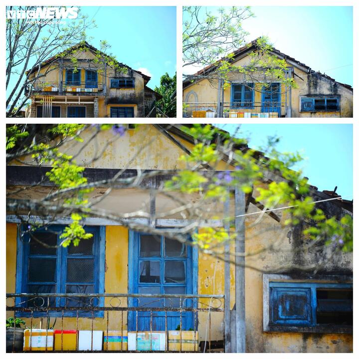 Cận cảnh biệt thự, khu nhà đất 'vàng' bỏ hoang, lãng phí ở Ðà Lạt- Ảnh 6.