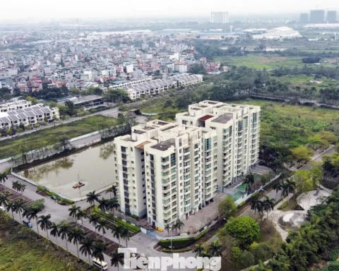 Chủ dự án 88 Central ‘lật kèo’ sau 6 năm ôm đất: Chuyển đơn đến công an giải quyết