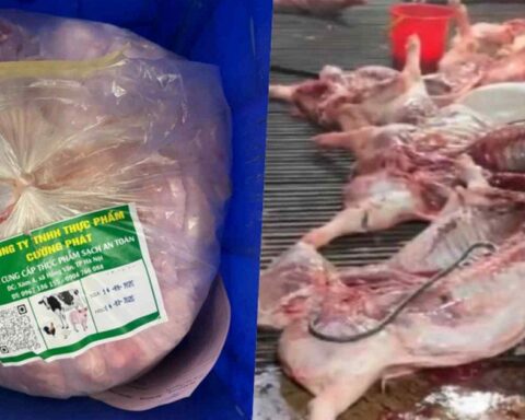 Vụ 300 tấn thịt lợn bệnh: Gói thầu hơn 10 tỷ đồng đưa thực phẩm bẩn vào trường tiểu học ở Hà Nội