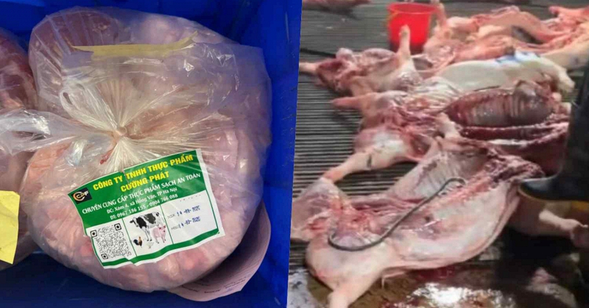 Vụ 300 tấn thịt lợn bệnh: Gói thầu hơn 10 tỷ đồng đưa thực phẩm bẩn vào trường tiểu học ở Hà Nội