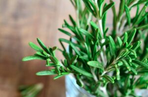 3 loại cây tuổi 40 rất cần