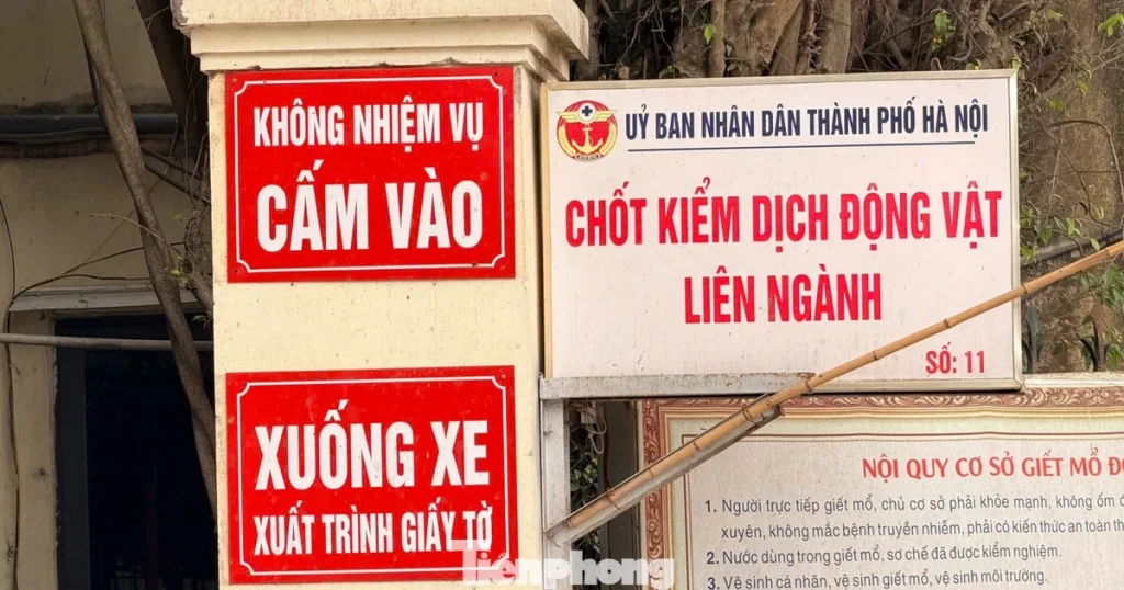 Vụ tiêu thụ gần 300 tấn lợn bệnh ở Hà Nội: Thu giữ cuốn sổ ghi chép việc ăn chia tiền ‘làm luật’