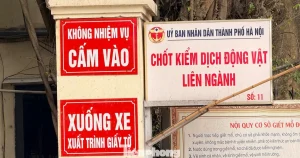 Vụ tiêu thụ gần 300 tấn lợn bệnh ở Hà Nội: Thu giữ cuốn sổ ghi chép việc ăn chia tiền ‘làm luật’
