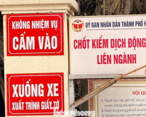 Vụ tiêu thụ gần 300 tấn lợn bệnh ở Hà Nội: Thu giữ cuốn sổ ghi chép việc ăn chia tiền ‘làm luật’